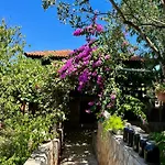 With Swimming Pool Apartment