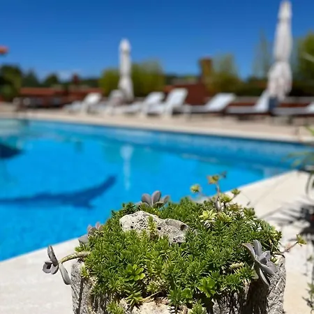 With Swimming Pool Jelsa (Hvar)